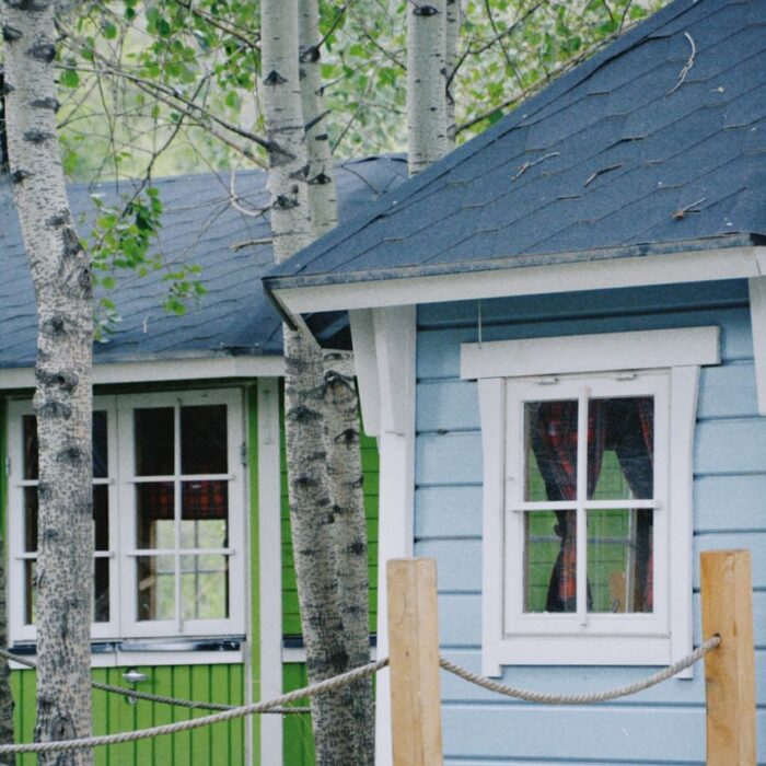 birch trees between cabins